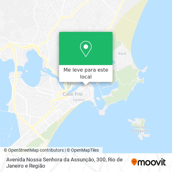 Avenida Nossa Senhora da Assunção, 300 mapa