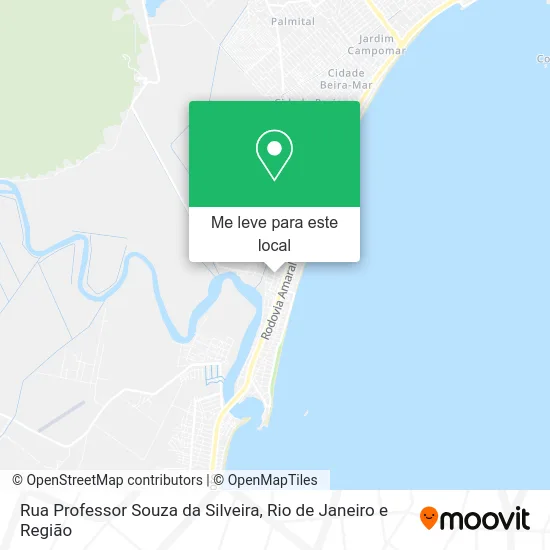 Rua Professor Souza da Silveira mapa