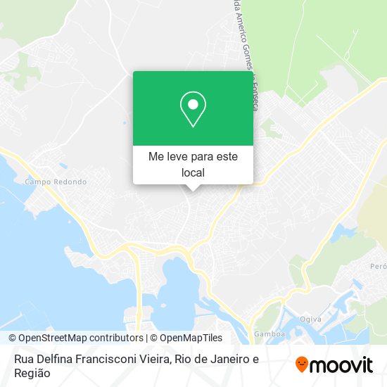 Rua Delfina Francisconi Vieira mapa