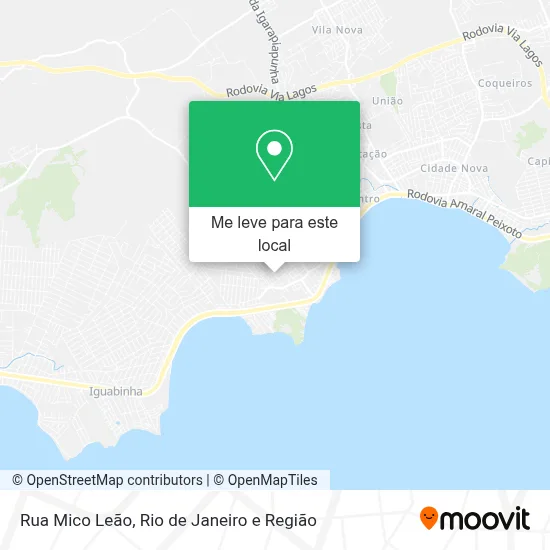 Rua Mico Leão mapa