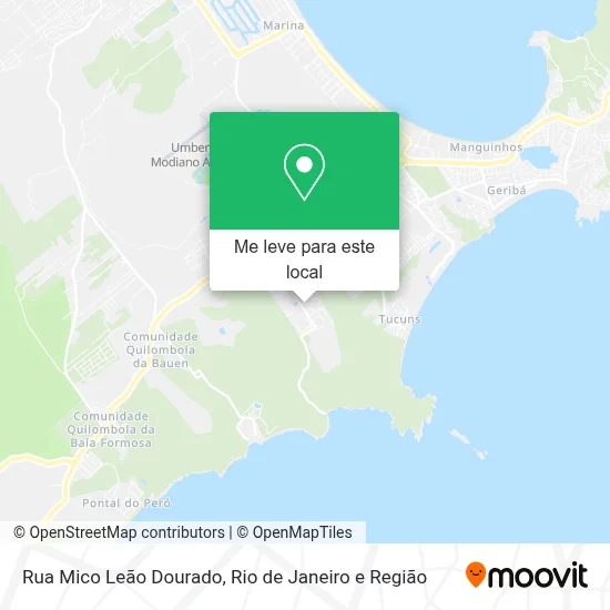 Rua Mico Leão Dourado mapa