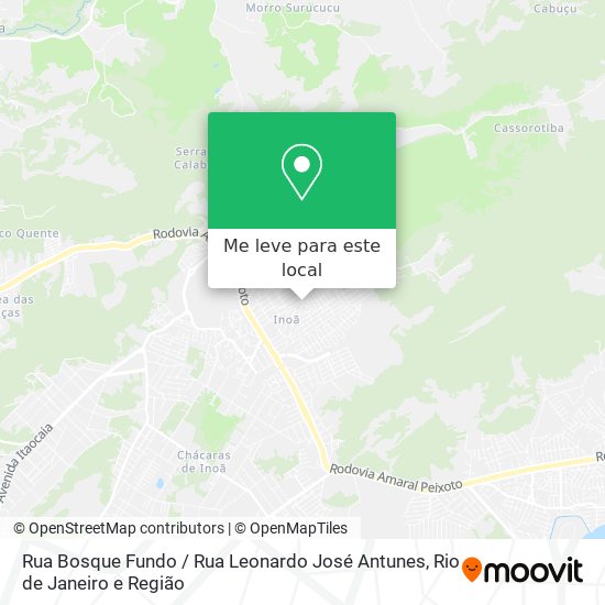 Rua Bosque Fundo / Rua Leonardo José Antunes mapa