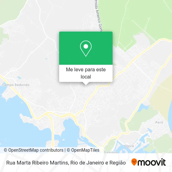 Rua Marta Ribeiro Martins mapa