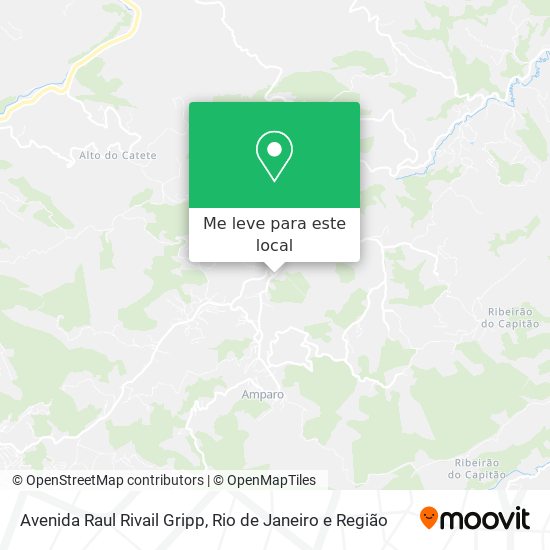 Avenida Raul Rivail Gripp mapa