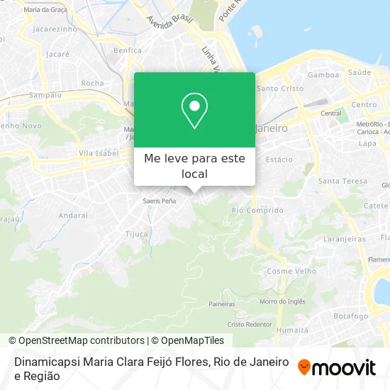 Dinamicapsi Maria Clara Feijó Flores mapa