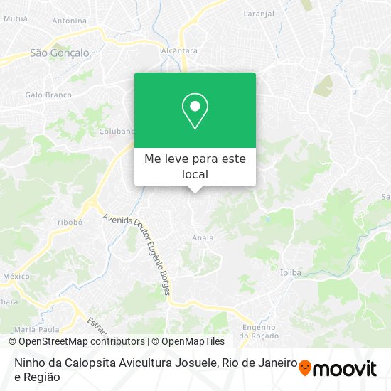 Ninho da Calopsita Avicultura Josuele mapa