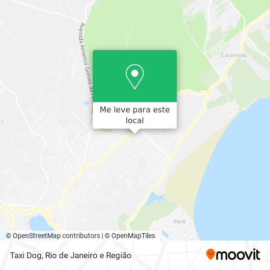 Taxi Dog mapa