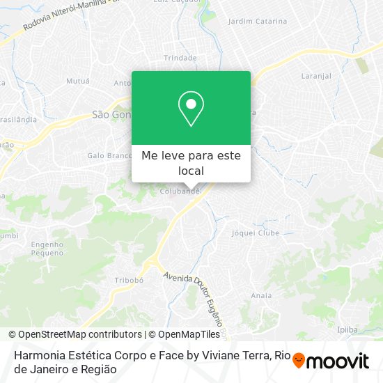 Harmonia Estética Corpo e Face by Viviane Terra mapa