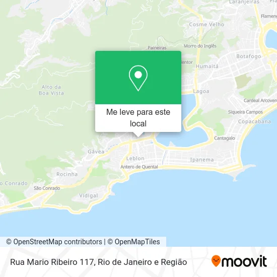 Rua Mario Ribeiro 117 mapa