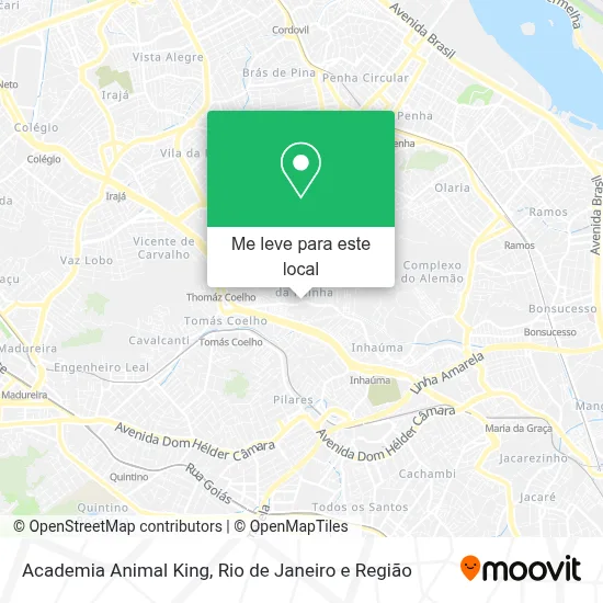 Academia Animal King mapa