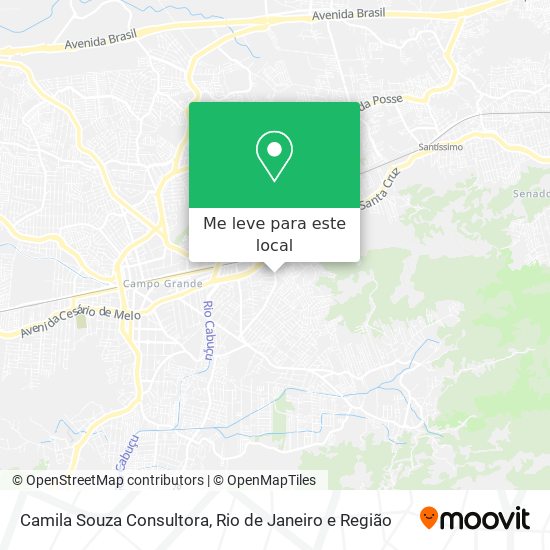 Camila Souza Consultora mapa