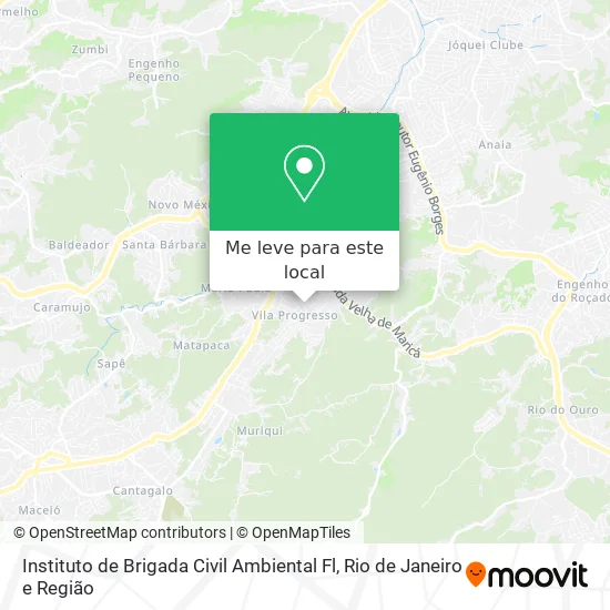 Instituto de Brigada Civil Ambiental Fl mapa