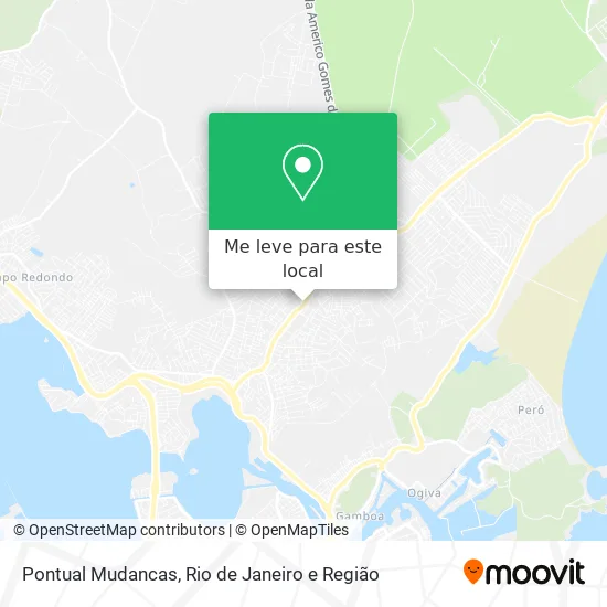 Pontual Mudancas mapa