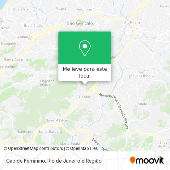 Cabide Feminino mapa