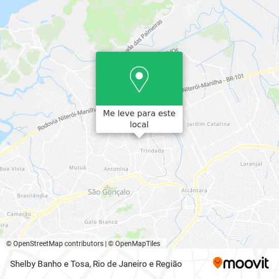 Shelby Banho e Tosa mapa