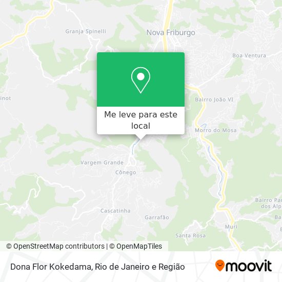 Dona Flor Kokedama mapa
