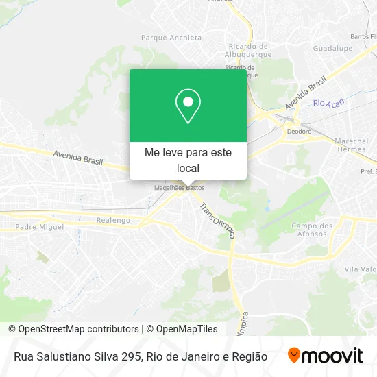 Rua Salustiano Silva 295 mapa