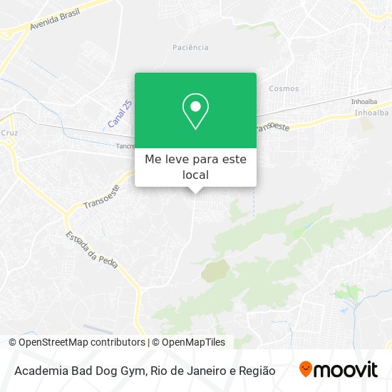 Academia Bad Dog Gym mapa
