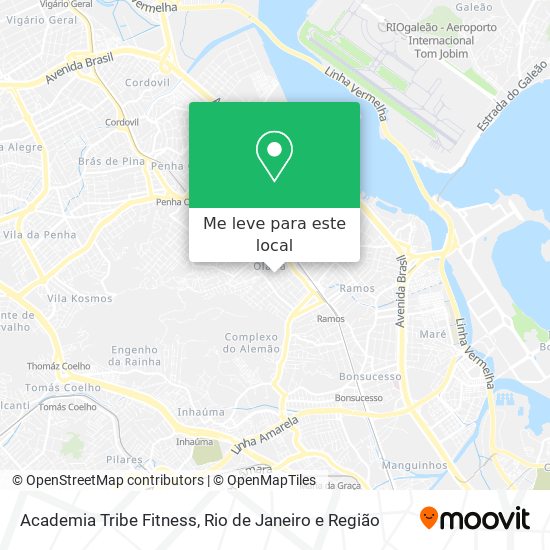 Academia Tribe Fitness mapa