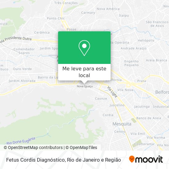 Fetus Cordis Diagnóstico mapa