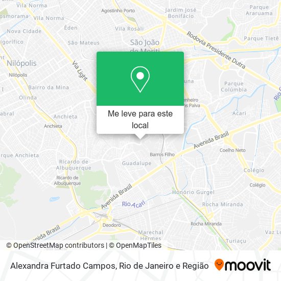 Alexandra Furtado Campos mapa