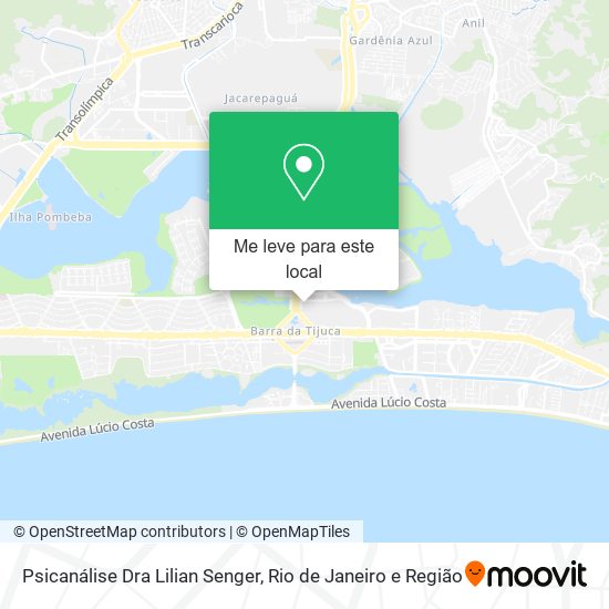 Psicanálise Dra Lilian Senger mapa