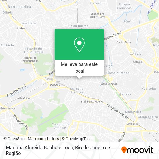 Mariana Almeida Banho e Tosa mapa