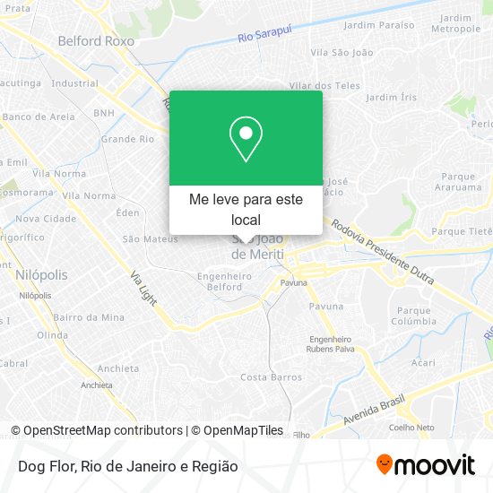 Dog Flor mapa