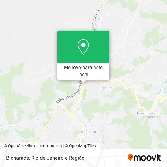 Bicharada mapa