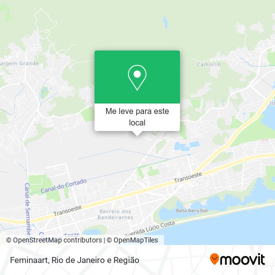 Feminaart mapa