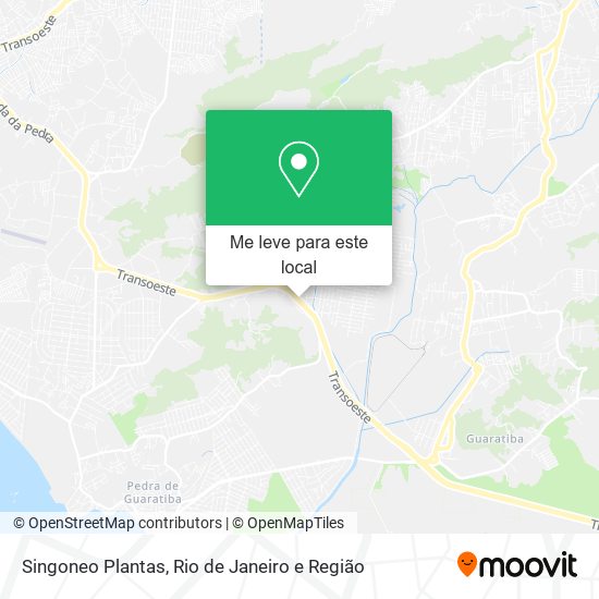 Singoneo Plantas mapa