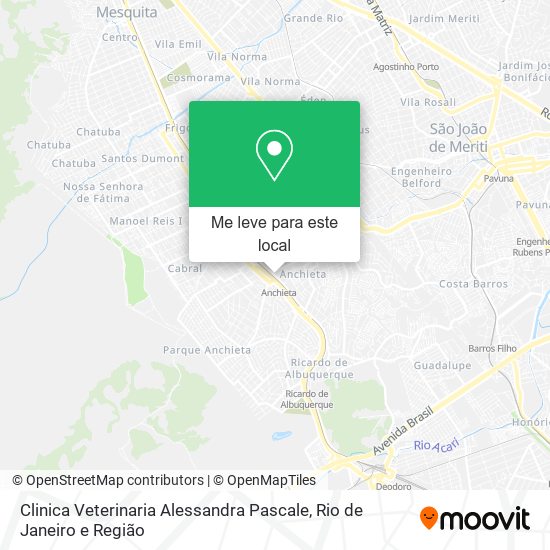Clinica Veterinaria Alessandra Pascale mapa