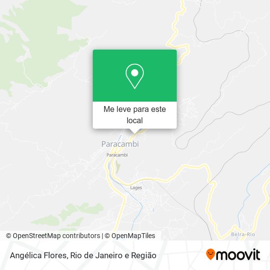 Angélica Flores mapa