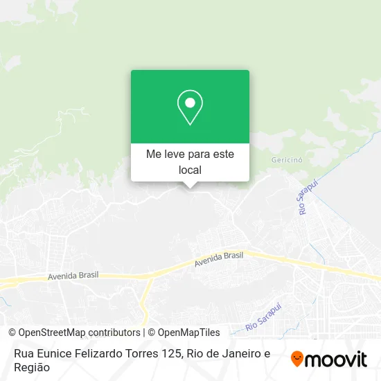 Rua Eunice Felizardo Torres 125 mapa