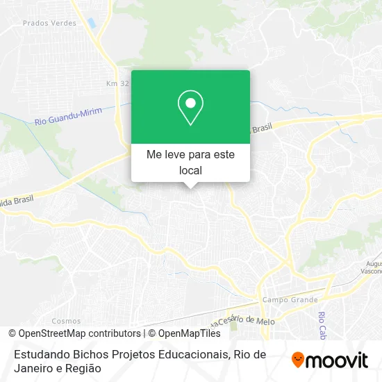 Estudando Bichos Projetos Educacionais mapa