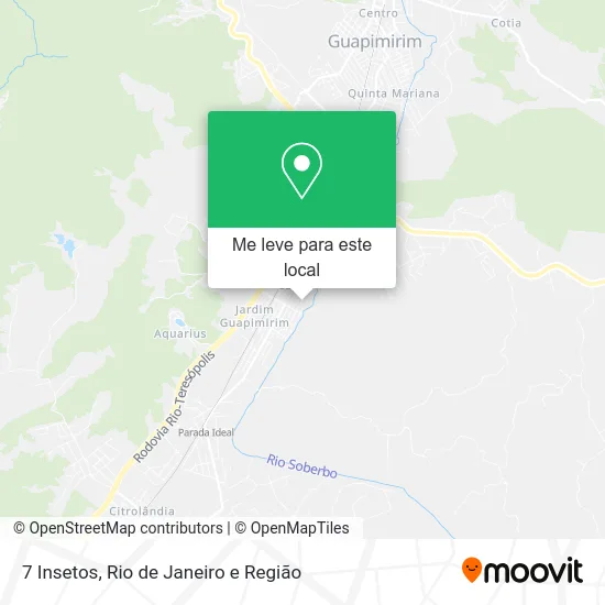 7 Insetos mapa