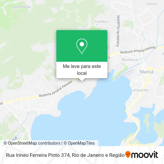 Rua Irineu Ferreira Pinto 374 mapa