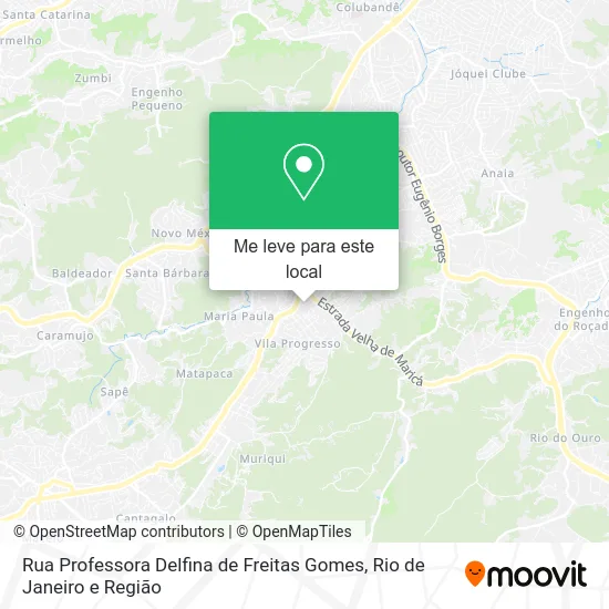 Rua Professora Delfina de Freitas Gomes mapa