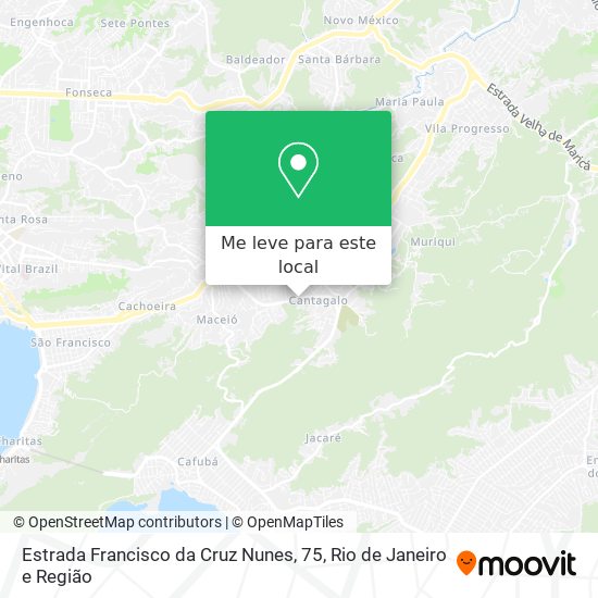 Estrada Francisco da Cruz Nunes, 75 mapa