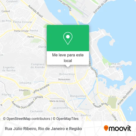 Rua Júlio Ribeiro mapa