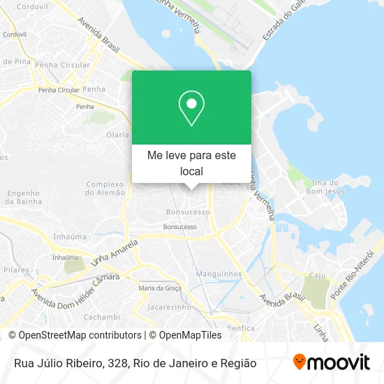 Rua Júlio Ribeiro, 328 mapa