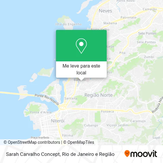 Sarah Carvalho Concept mapa