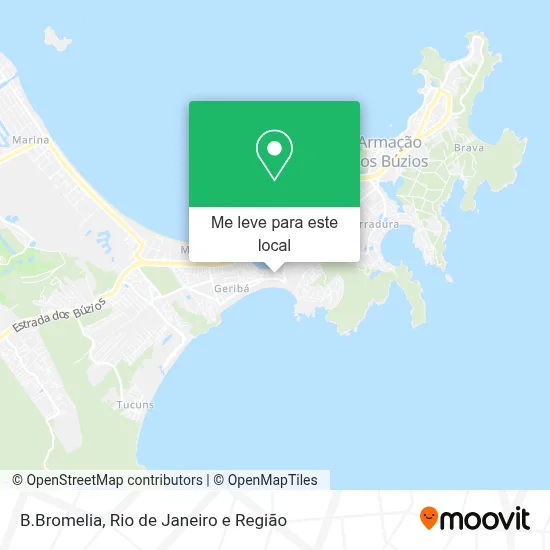 B.Bromelia mapa