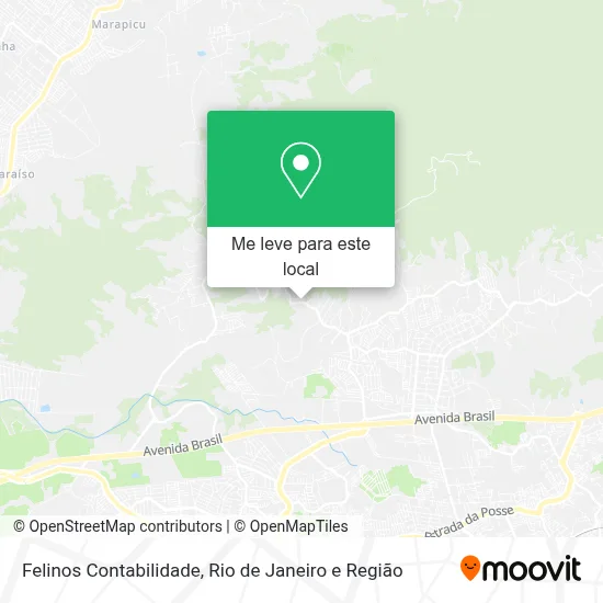 Felinos Contabilidade mapa