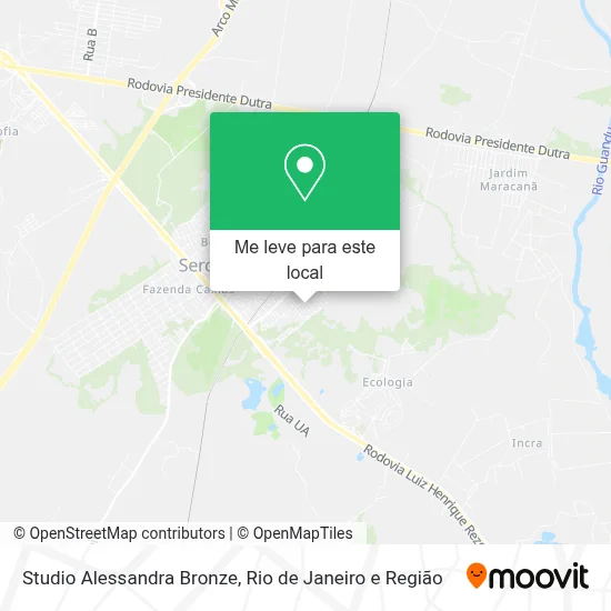 Studio Alessandra Bronze mapa