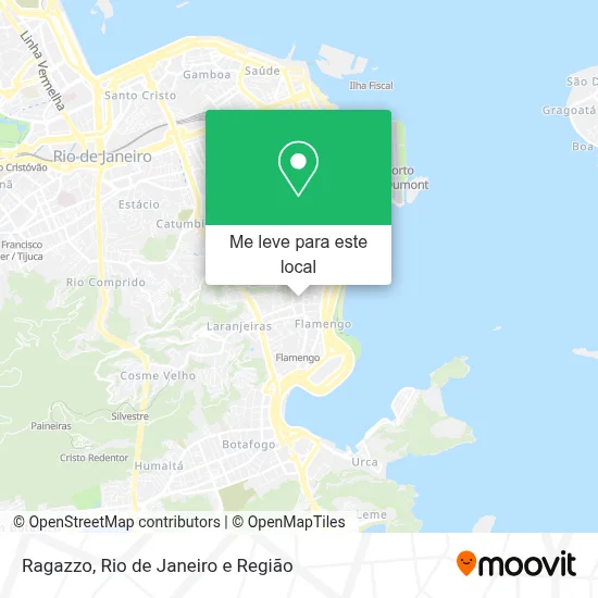 Ragazzo mapa