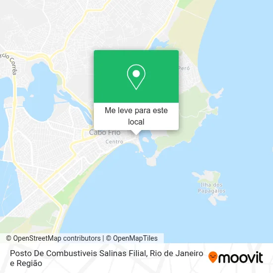 Posto De Combustiveis Salinas Filial mapa