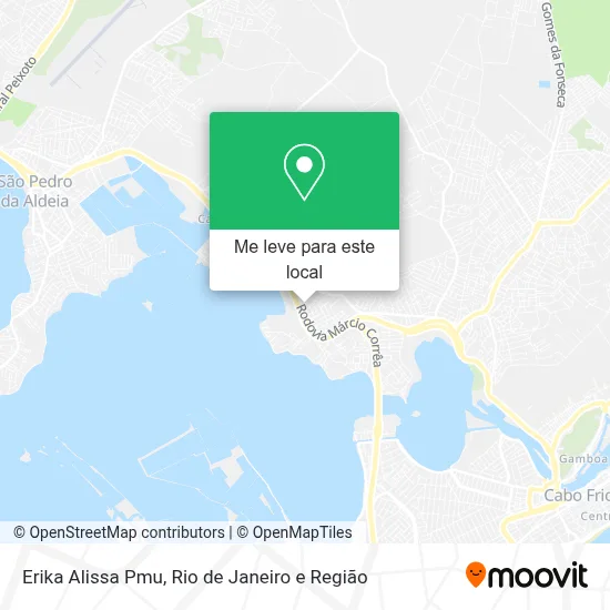Erika Alissa Pmu mapa