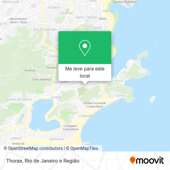 Thorax mapa