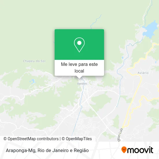 Araponga-Mg mapa